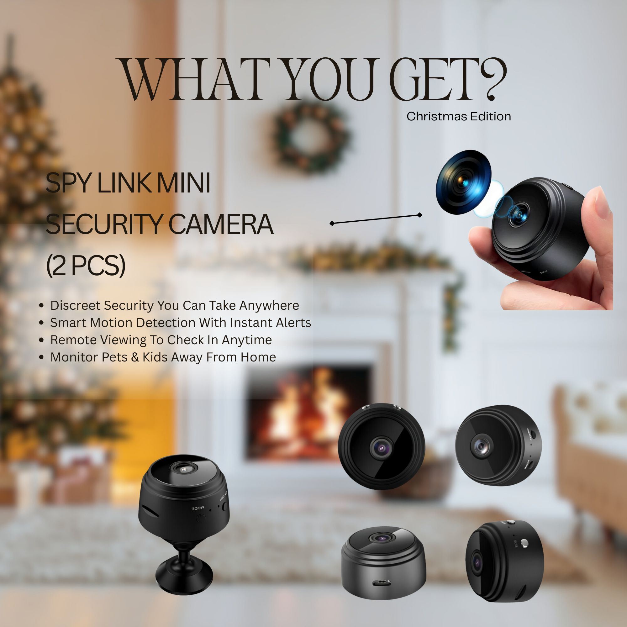 Student Smart Security - Bluey Security Co.